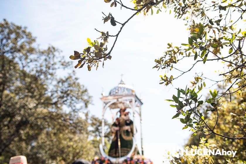 GALERÍA II: La Bajada más esperada de la Virgen de Araceli