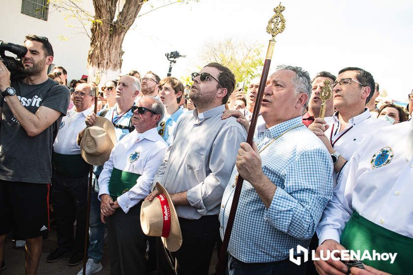 GALERÍA II: La Bajada más esperada de la Virgen de Araceli