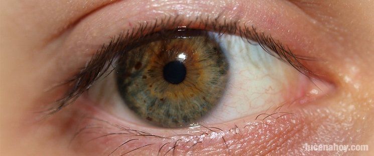  En abril: campaña de detección precoz del glaucoma en Óptica Reyes 