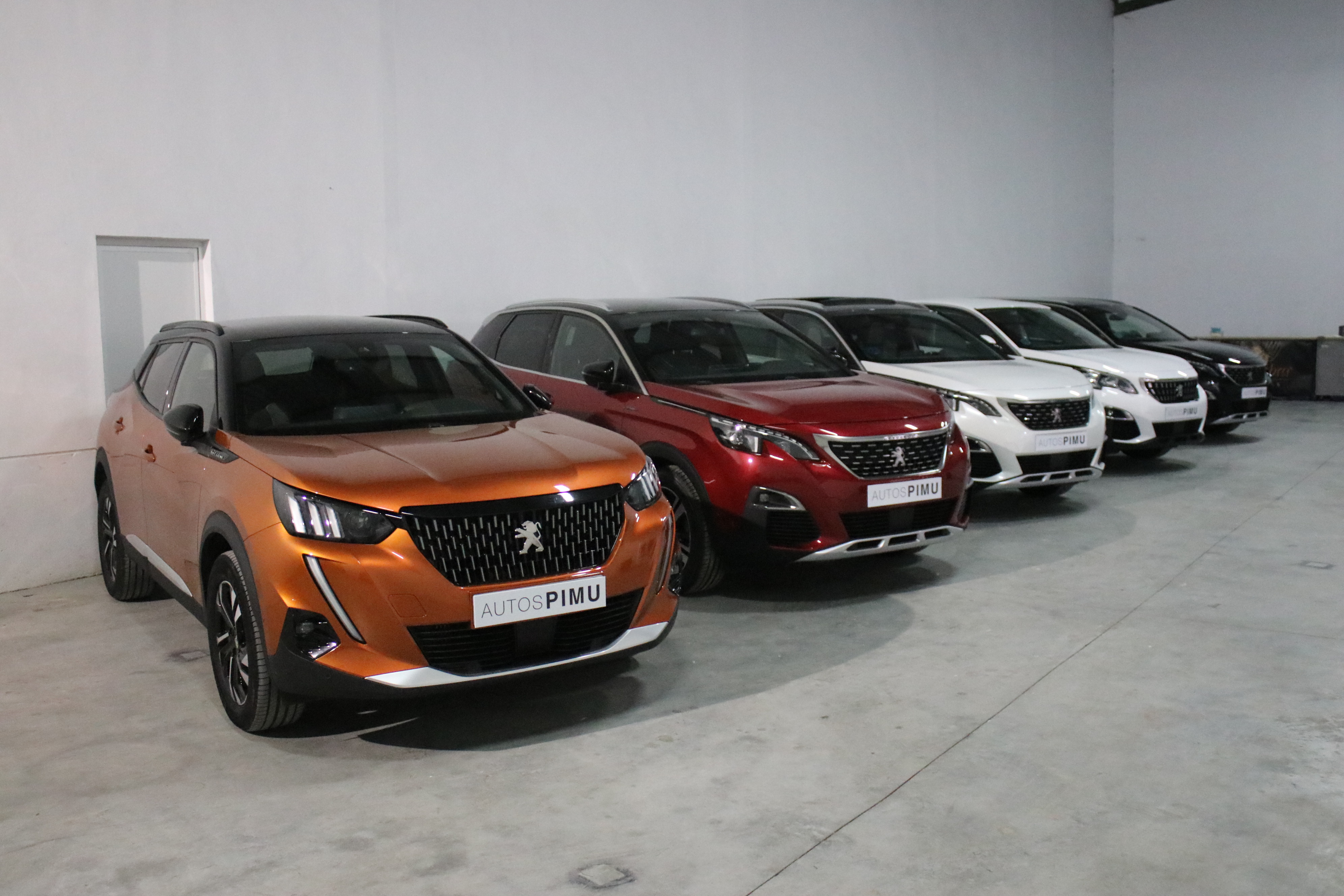 Inauguración de Autos Pimu Inauguración de Autos Pimu