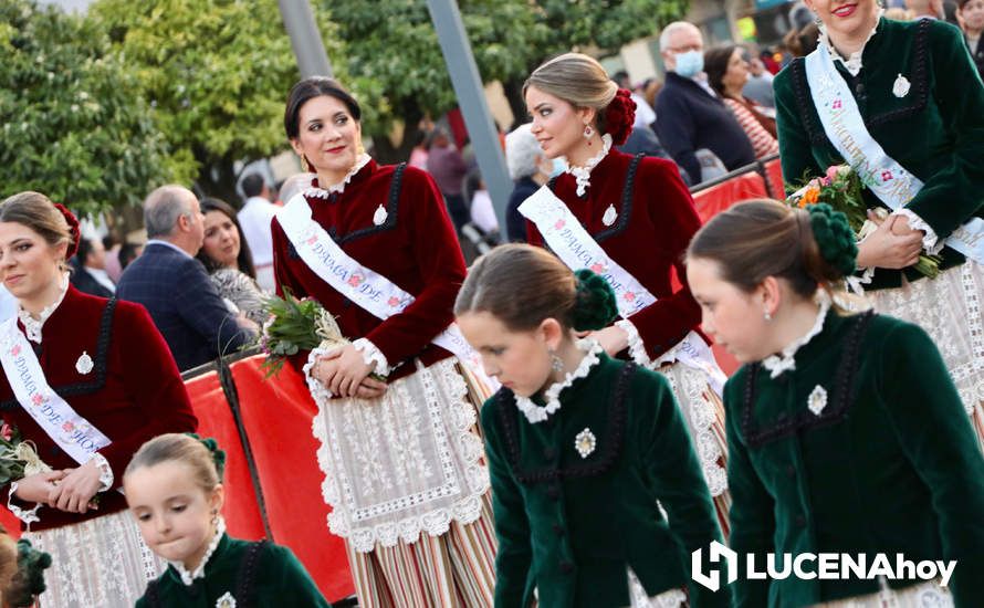 GALERÍA: Lucena brinda a la Virgen de Araceli una interminable ofrenda de flores