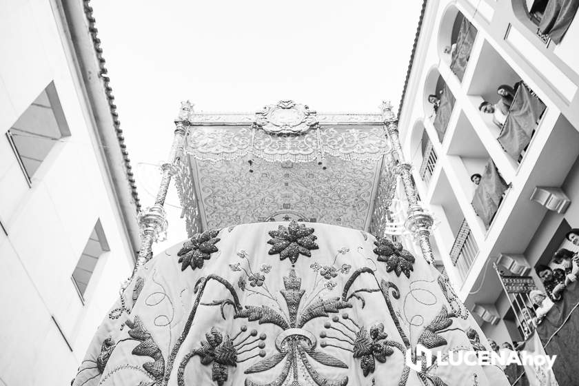 GALERÍA: FIESTAS ARACELITANAS 2022: La noche más grande de Lucena a través de la cámara de Jesús Cañete GALERÍA: FIESTAS ARACELITANAS 2022: La noche más grande de Lucena a través de la cámara de Jesús Cañete