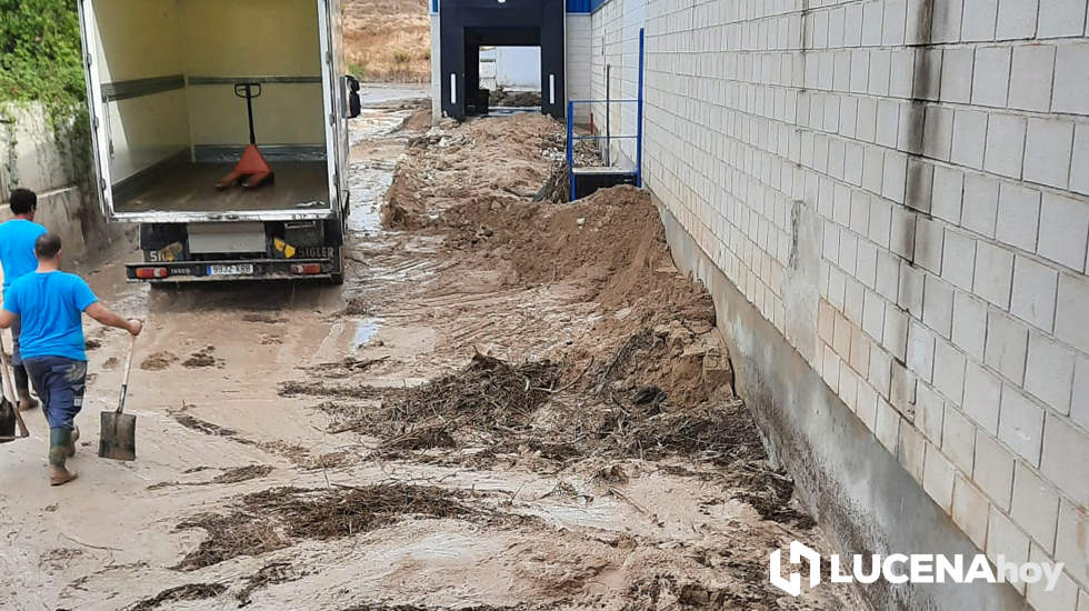  Varios trabajadores retiran barro piedras en los muelles de carga y descarga de una de las empresas afectadas 