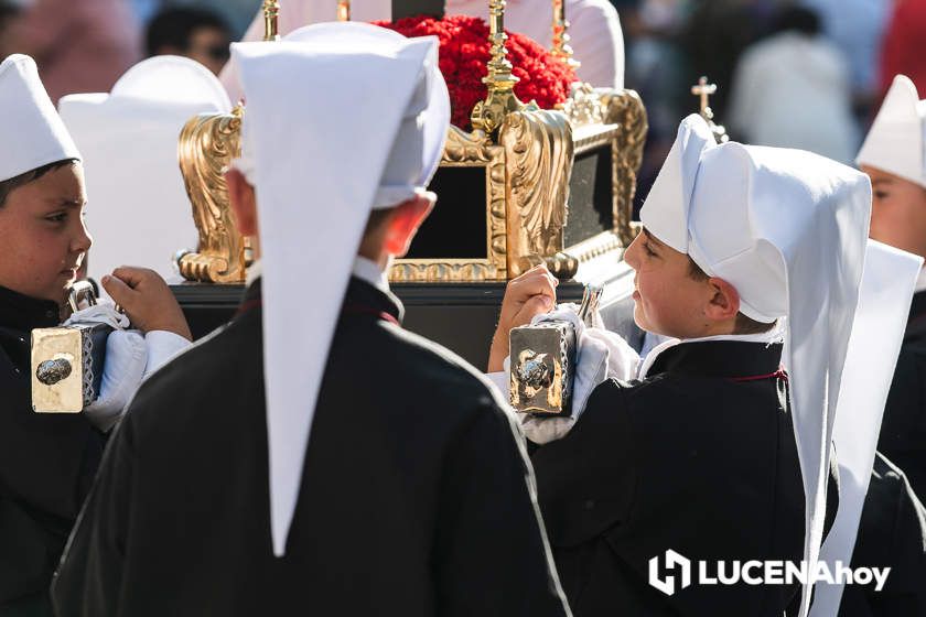 GALERÍA: Medio centenar de pequeños pasos procesionales toman parte en el desfile de procesiones infantiles 'Pasión y gloria de Lucena' GALERÍA: Medio centenar de pequeños pasos procesionales toman parte en el desfile de procesiones infantiles 'Pasión y gloria de Lucena'