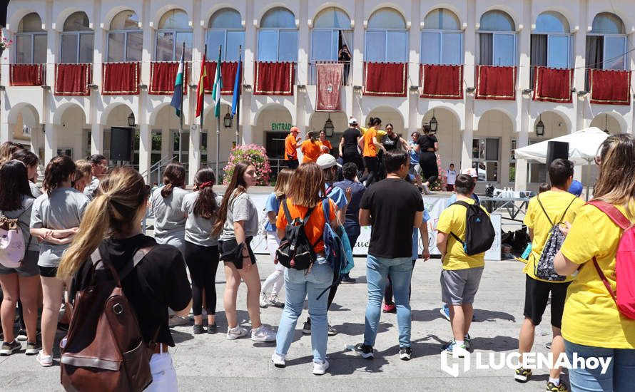 GALERÍA: Alumnos de los distintos centros educativos de Lucena celebran con una jornada lúdica en la Plaza Nueva el Día de la Paz