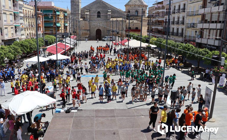 GALERÍA: Alumnos de los distintos centros educativos de Lucena celebran con una jornada lúdica en la Plaza Nueva el Día de la Paz