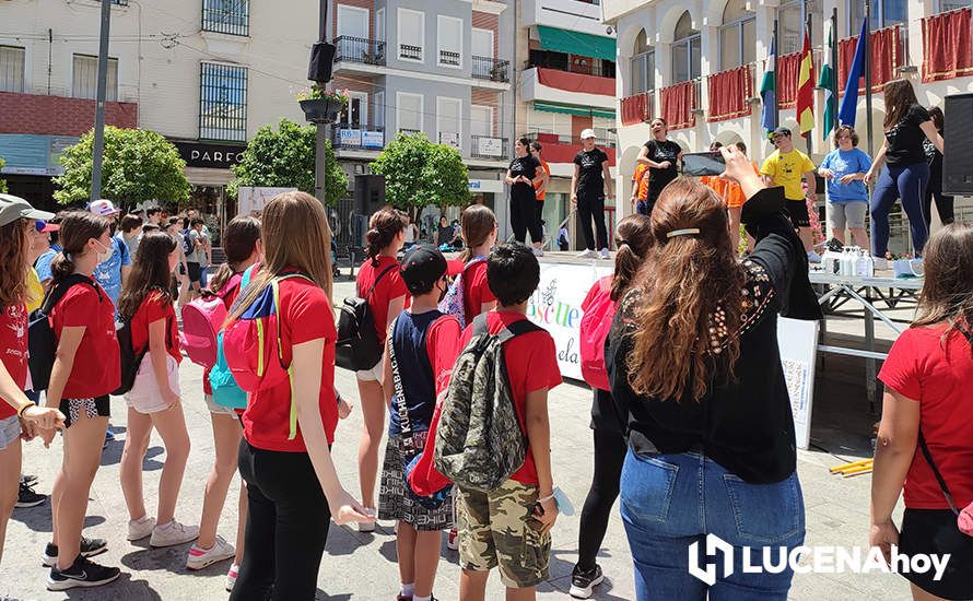 GALERÍA: Alumnos de los distintos centros educativos de Lucena celebran con una jornada lúdica en la Plaza Nueva el Día de la Paz