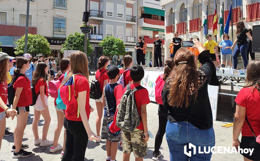 GALERÍA: Alumnos de los distintos centros educativos de Lucena celebran con una jornada lúdica en la Plaza Nueva el Día de la Paz GALERÍA: Alumnos de los distintos centros educativos de Lucena celebran con una jornada lúdica en la Plaza Nueva el Día de la Paz