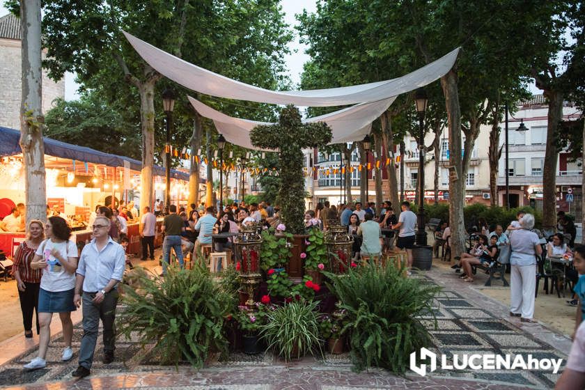 GALERÍA: Amor y Paz y La Columna 'plantan' sus Cruces de Mayo en El Coso y el llanete de Santiago