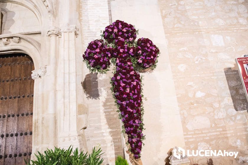 GALERÍA: Amor y Paz y La Columna 'plantan' sus Cruces de Mayo en El Coso y el llanete de Santiago