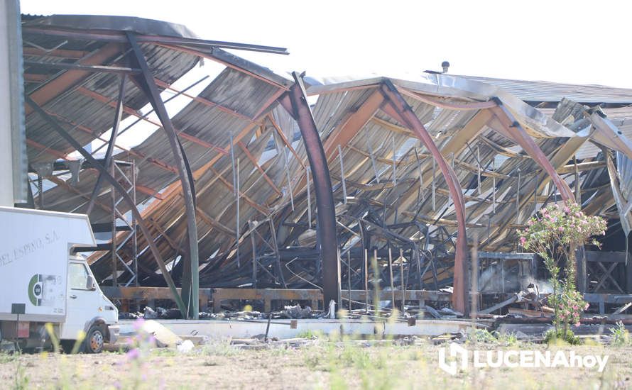 GALERÍA: El incendio en Creaciones del Espino ha arrasado unos 7.000 metros cuadrados de la planta de producción, almacén y pintura