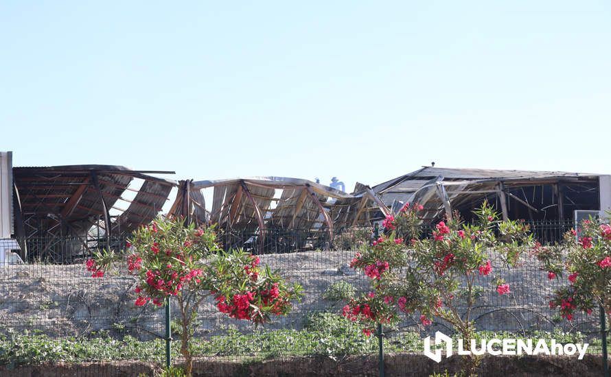GALERÍA: El incendio en Creaciones del Espino ha arrasado unos 7.000 metros cuadrados de la planta de producción, almacén y pintura GALERÍA: El incendio en Creaciones del Espino ha arrasado unos 7.000 metros cuadrados de la planta de producción, almacén y pintura