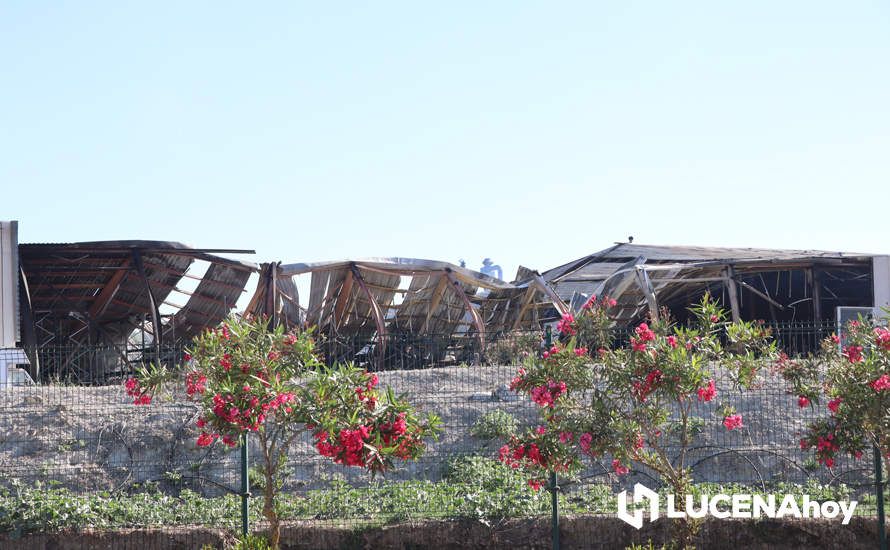 GALERÍA: El incendio en Creaciones del Espino ha arrasado unos 7.000 metros cuadrados de la planta de producción, almacén y pintura