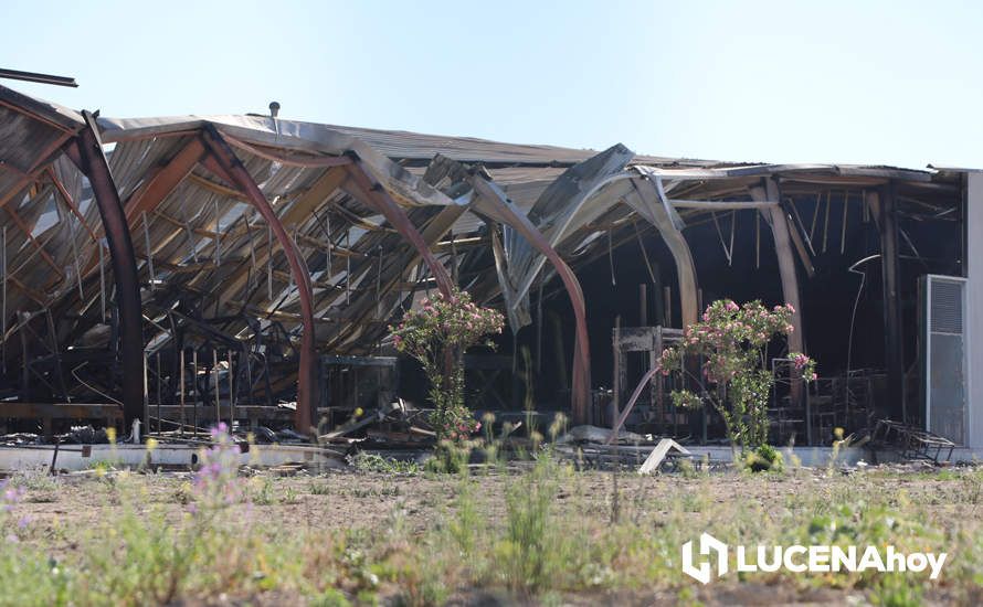 GALERÍA: El incendio en Creaciones del Espino ha arrasado unos 7.000 metros cuadrados de la planta de producción, almacén y pintura