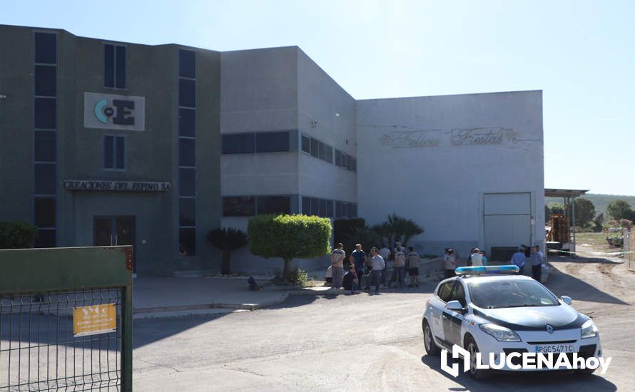 GALERÍA: El incendio en Creaciones del Espino ha arrasado unos 7.000 metros cuadrados de la planta de producción, almacén y pintura GALERÍA: El incendio en Creaciones del Espino ha arrasado unos 7.000 metros cuadrados de la planta de producción, almacén y pintura