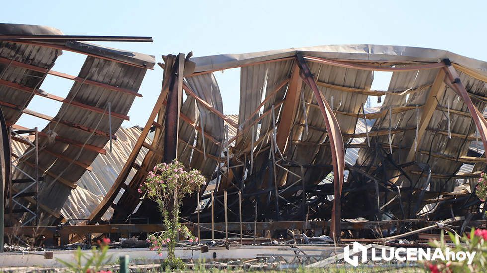 GALERÍA: El incendio en Creaciones del Espino ha arrasado unos 7.000 metros cuadrados de la planta de producción, almacén y pintura