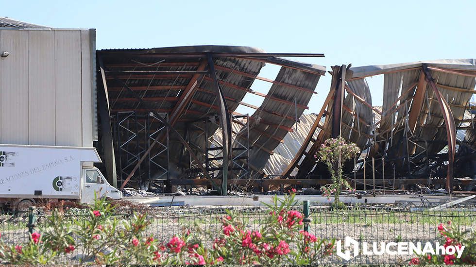 GALERÍA: El incendio en Creaciones del Espino ha arrasado unos 7.000 metros cuadrados de la planta de producción, almacén y pintura