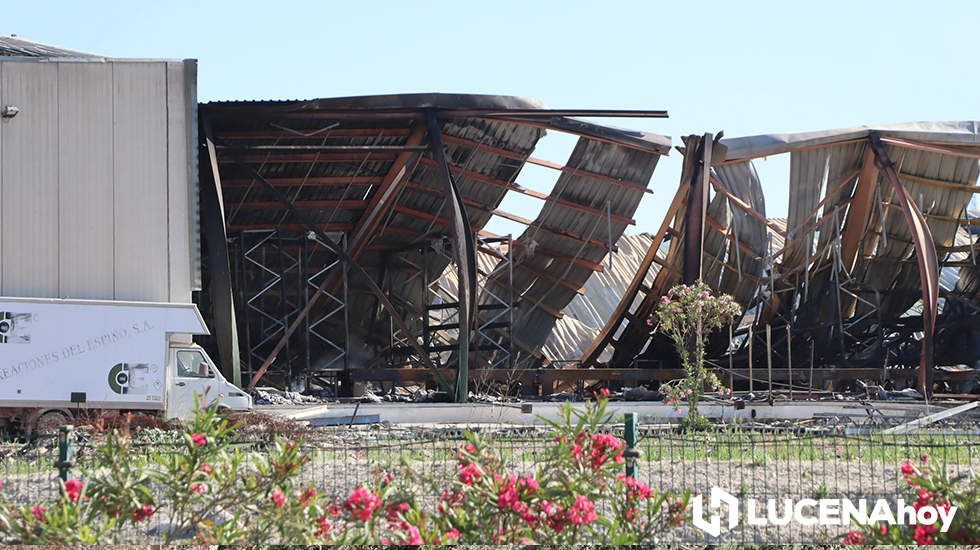 GALERÍA: El incendio en Creaciones del Espino ha arrasado unos 7.000 metros cuadrados de la planta de producción, almacén y pintura GALERÍA: El incendio en Creaciones del Espino ha arrasado unos 7.000 metros cuadrados de la planta de producción, almacén y pintura