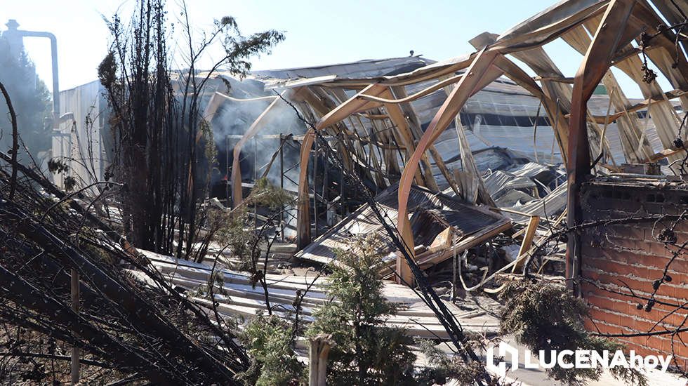 GALERÍA: El incendio en Creaciones del Espino ha arrasado unos 7.000 metros cuadrados de la planta de producción, almacén y pintura