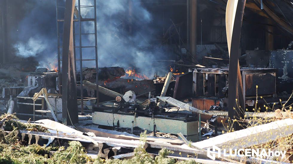 GALERÍA: El incendio en Creaciones del Espino ha arrasado unos 7.000 metros cuadrados de la planta de producción, almacén y pintura
