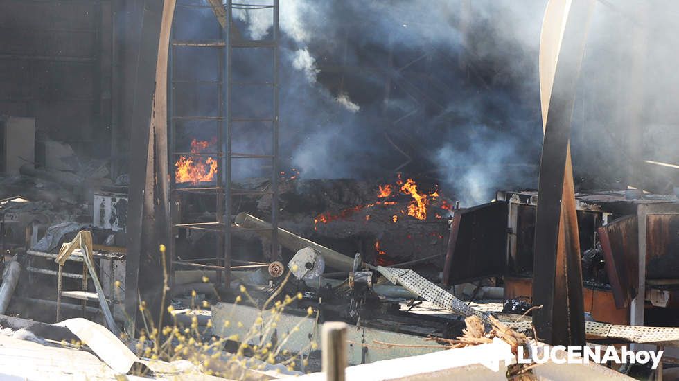 GALERÍA: El incendio en Creaciones del Espino ha arrasado unos 7.000 metros cuadrados de la planta de producción, almacén y pintura