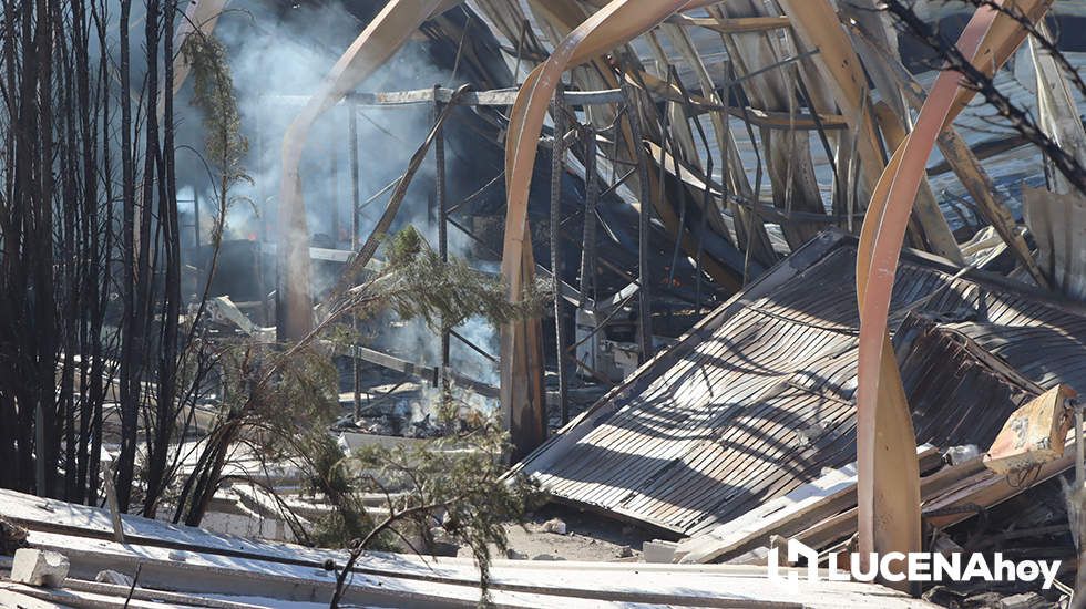 GALERÍA: El incendio en Creaciones del Espino ha arrasado unos 7.000 metros cuadrados de la planta de producción, almacén y pintura GALERÍA: El incendio en Creaciones del Espino ha arrasado unos 7.000 metros cuadrados de la planta de producción, almacén y pintura
