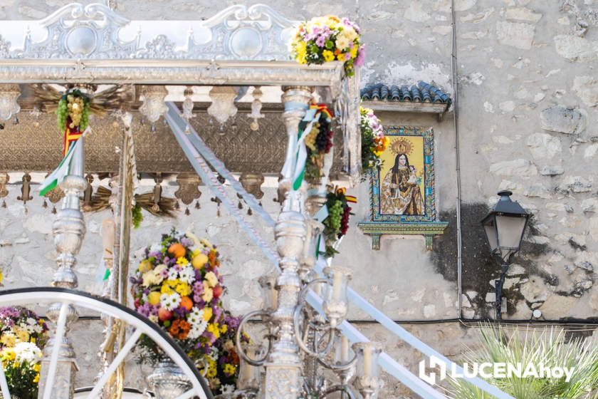 GALERÍA: La Hermandad del Rocío de Lucena inicia un camino hacia Almonte muy especial con motivo de su 50 Aniversario GALERÍA: La Hermandad del Rocío de Lucena inicia un camino hacia Almonte muy especial con motivo de su 50 Aniversario