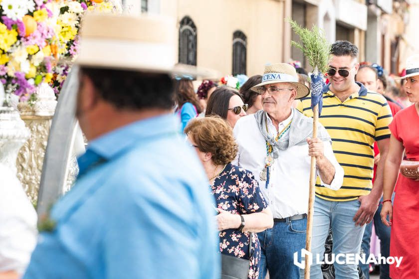 GALERÍA: La Hermandad del Rocío de Lucena inicia un camino hacia Almonte muy especial con motivo de su 50 Aniversario