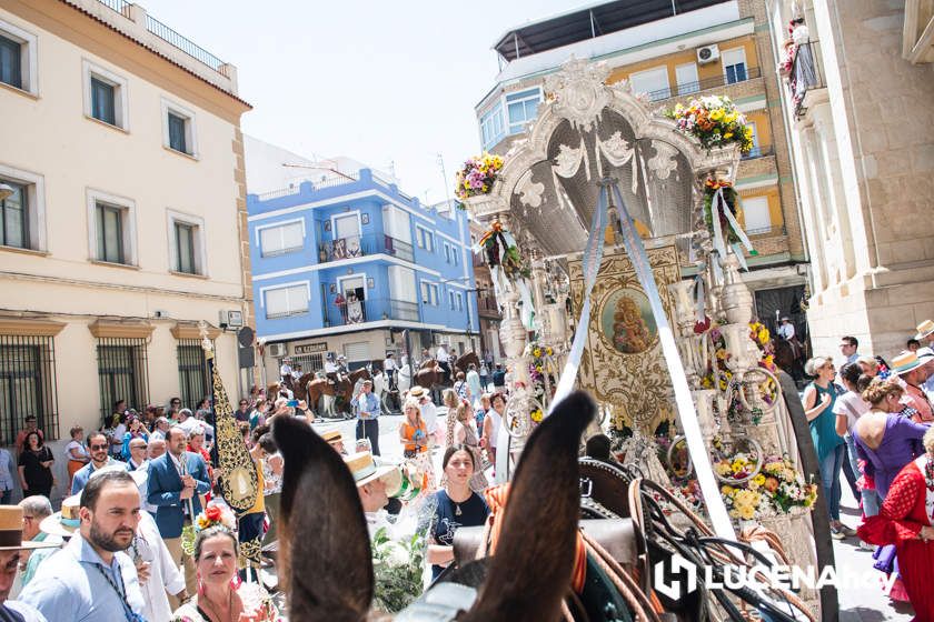 GALERÍA: La Hermandad del Rocío de Lucena inicia un camino hacia Almonte muy especial con motivo de su 50 Aniversario GALERÍA: La Hermandad del Rocío de Lucena inicia un camino hacia Almonte muy especial con motivo de su 50 Aniversario