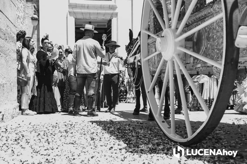 GALERÍA: La Hermandad del Rocío de Lucena inicia un camino hacia Almonte muy especial con motivo de su 50 Aniversario