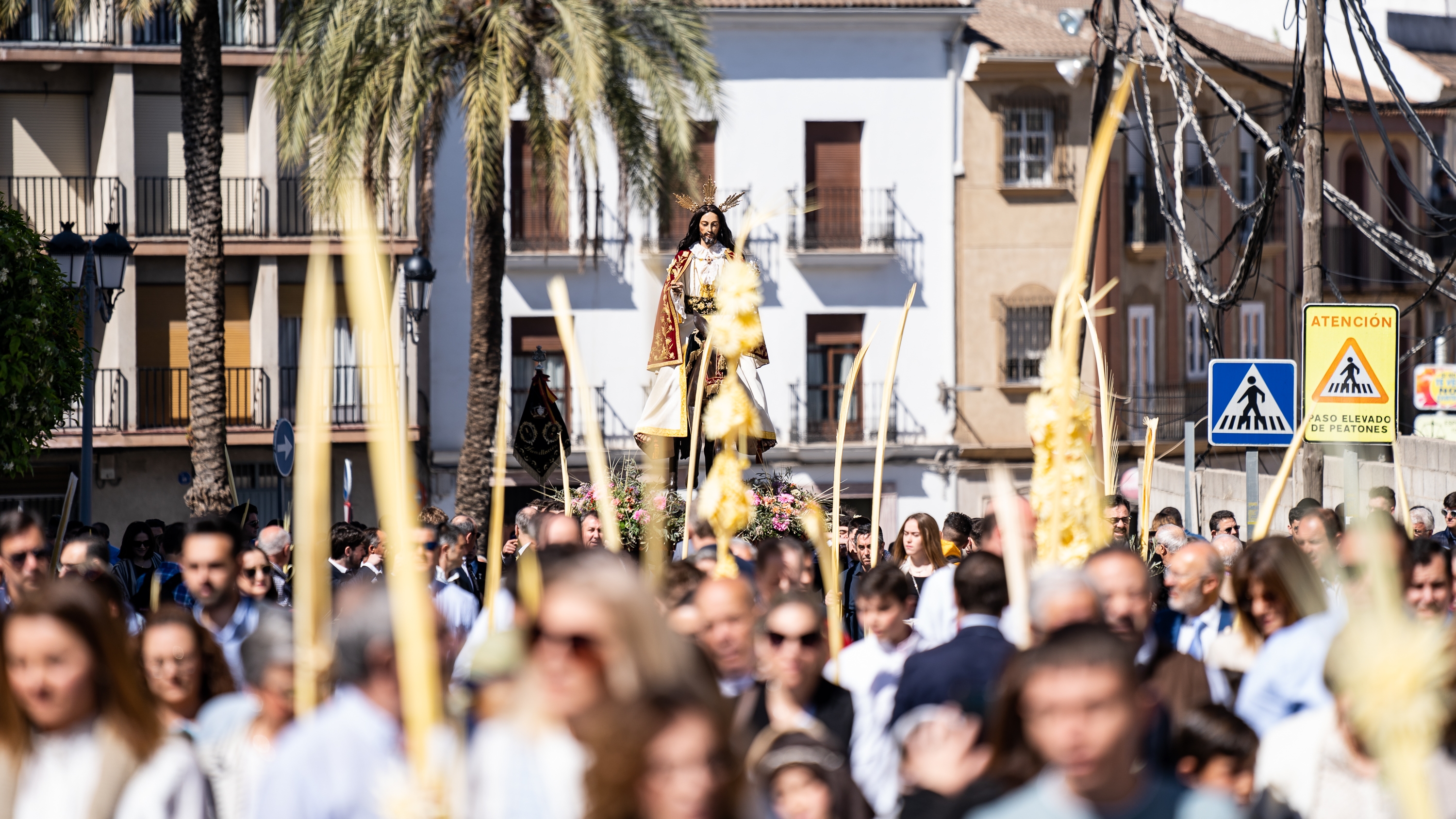Procesión de las Palmas (Carmen) 2023 Procesión de las Palmas (Carmen) 2023