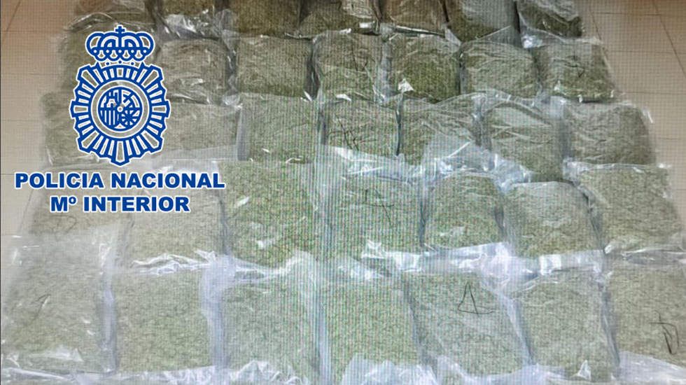  Parte de la marihuana que portada el detenido en su vehículo 