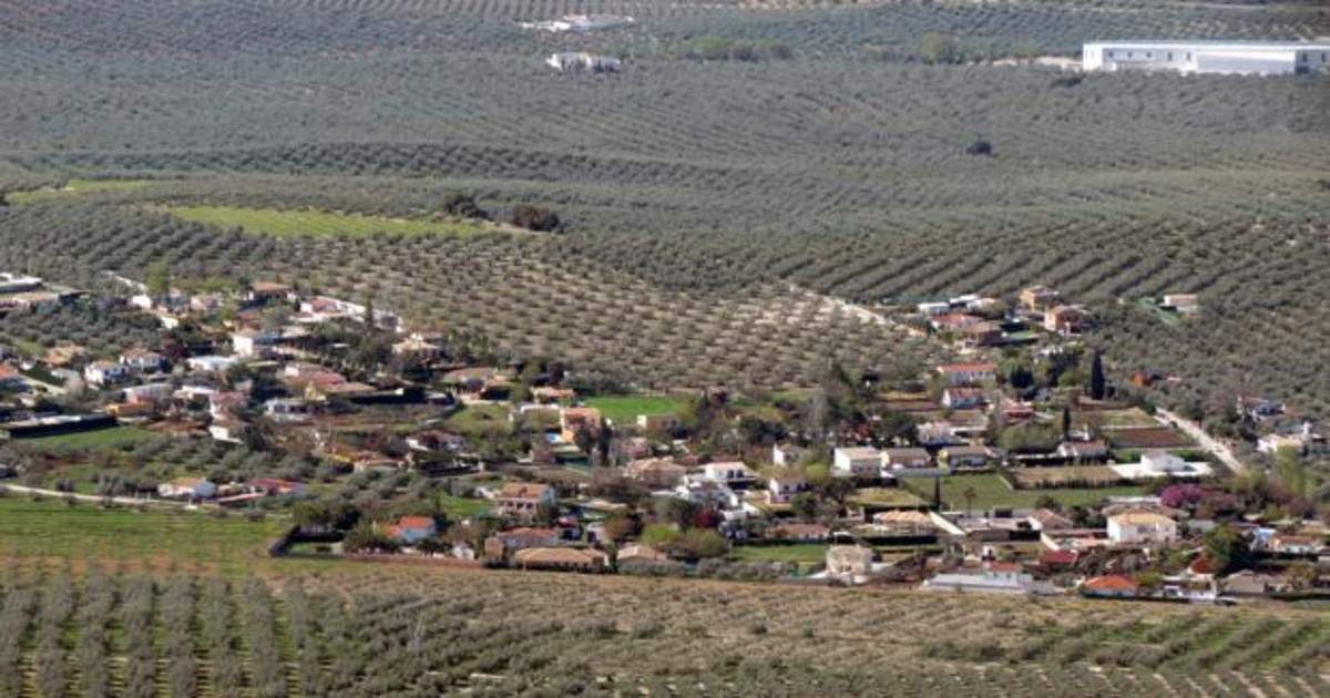  Vista parcial de Campo de Aras 