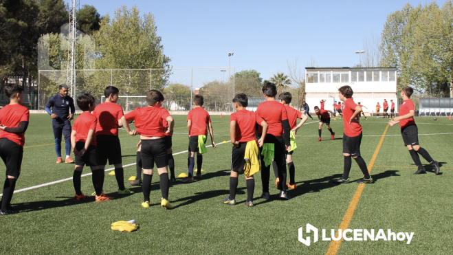 Campus Atlético de Madrid, organizado por el CD Lucecor Campus Atlético de Madrid, organizado por el CD Lucecor