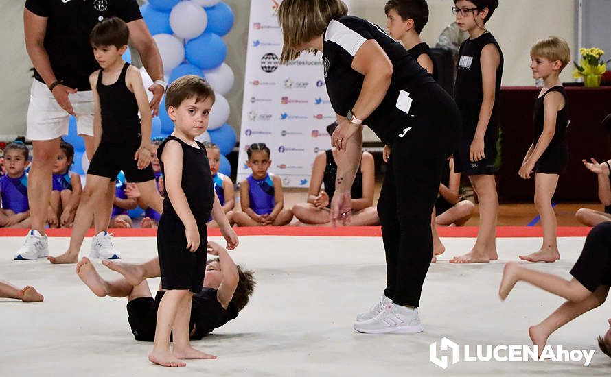 GALERÍA: El Pabellón Cubierto acoge la fiesta de la gimnasia artística lucentina