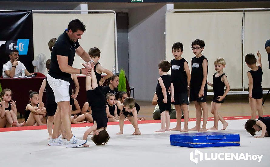 GALERÍA: El Pabellón Cubierto acoge la fiesta de la gimnasia artística lucentina