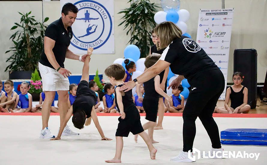 GALERÍA: El Pabellón Cubierto acoge la fiesta de la gimnasia artística lucentina