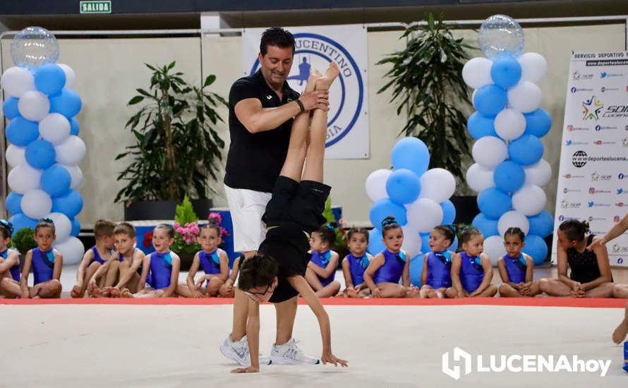 GALERÍA: El Pabellón Cubierto acoge la fiesta de la gimnasia artística lucentina