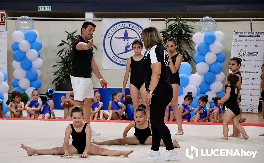 GALERÍA: El Pabellón Cubierto acoge la fiesta de la gimnasia artística lucentina