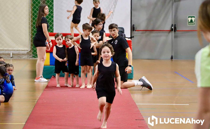 GALERÍA: El Pabellón Cubierto acoge la fiesta de la gimnasia artística lucentina