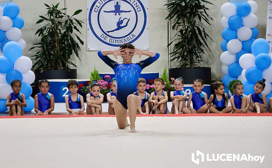 GALERÍA: El Pabellón Cubierto acoge la fiesta de la gimnasia artística lucentina GALERÍA: El Pabellón Cubierto acoge la fiesta de la gimnasia artística lucentina