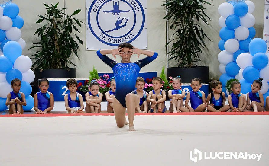 GALERÍA: El Pabellón Cubierto acoge la fiesta de la gimnasia artística lucentina