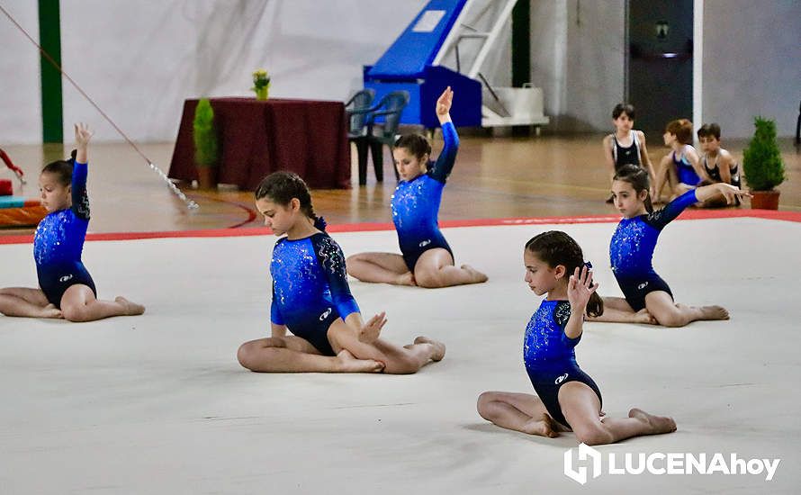 GALERÍA: El Pabellón Cubierto acoge la fiesta de la gimnasia artística lucentina