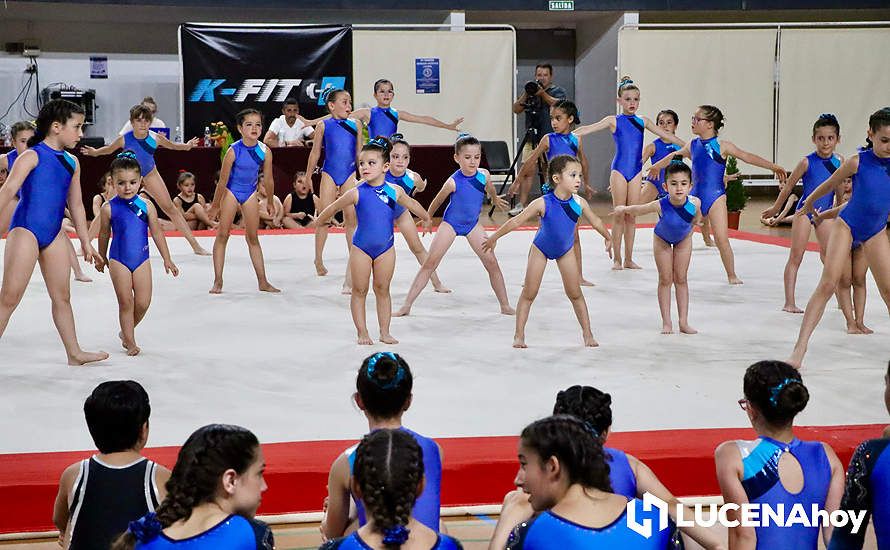 GALERÍA: El Pabellón Cubierto acoge la fiesta de la gimnasia artística lucentina