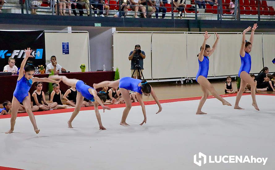 GALERÍA: El Pabellón Cubierto acoge la fiesta de la gimnasia artística lucentina