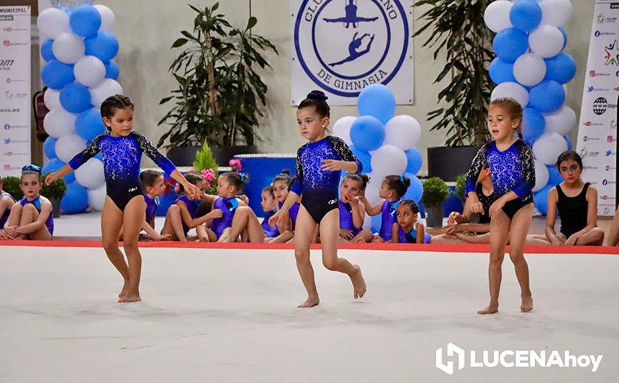 GALERÍA: El Pabellón Cubierto acoge la fiesta de la gimnasia artística lucentina