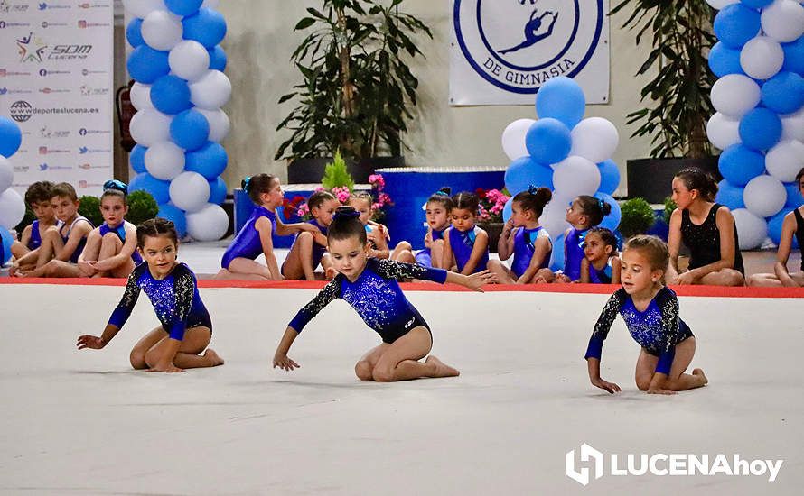 GALERÍA: El Pabellón Cubierto acoge la fiesta de la gimnasia artística lucentina