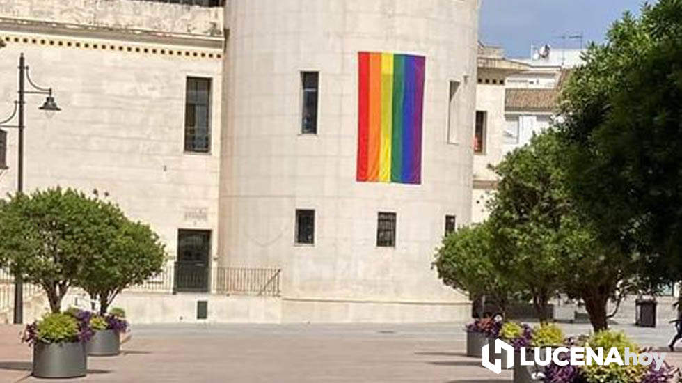  La bandera objeto de la polémica 