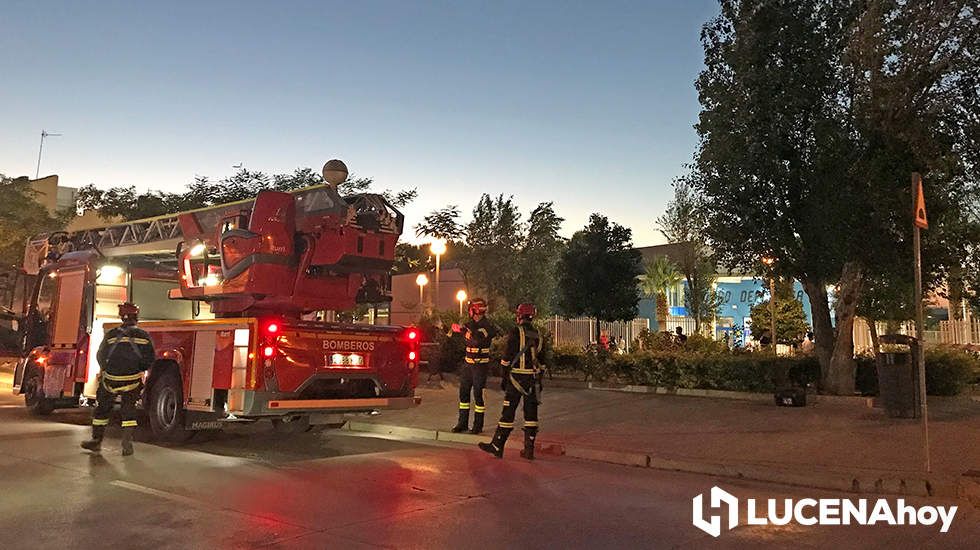  Los bomberos junto al árbol afectado, minutos antes de proceder a cortar la misma ante el riego de caída 