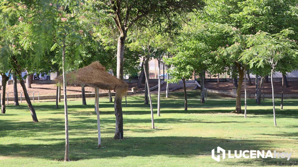 GALERÍA: Comienza la temporada de baños: Hoy han abierto sus puertas las piscinas municipales de verano GALERÍA: Comienza la temporada de baños: Hoy han abierto sus puertas las piscinas municipales de verano